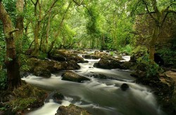 Montes de galicia 2